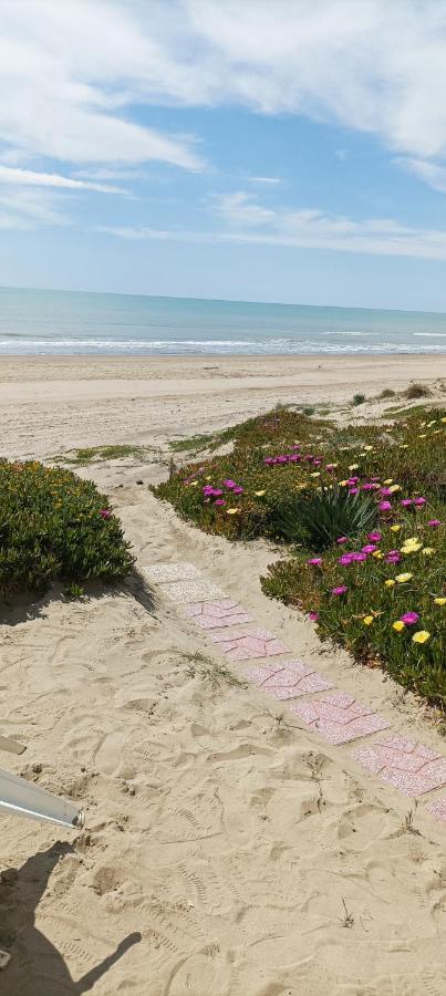 Casa Roberto Beach Torvaianica Eksteriør bilde
